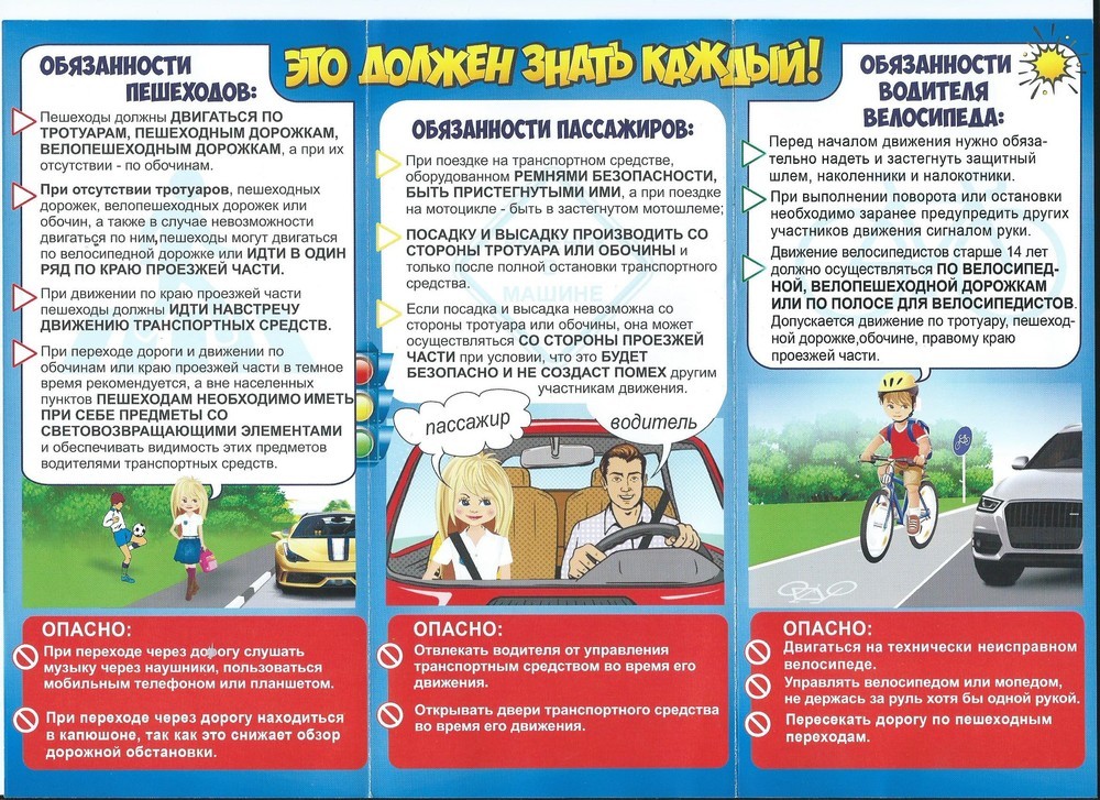 Обязанности пешехода и водителя при движении по дороге
